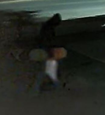Surveillance video of suspect.