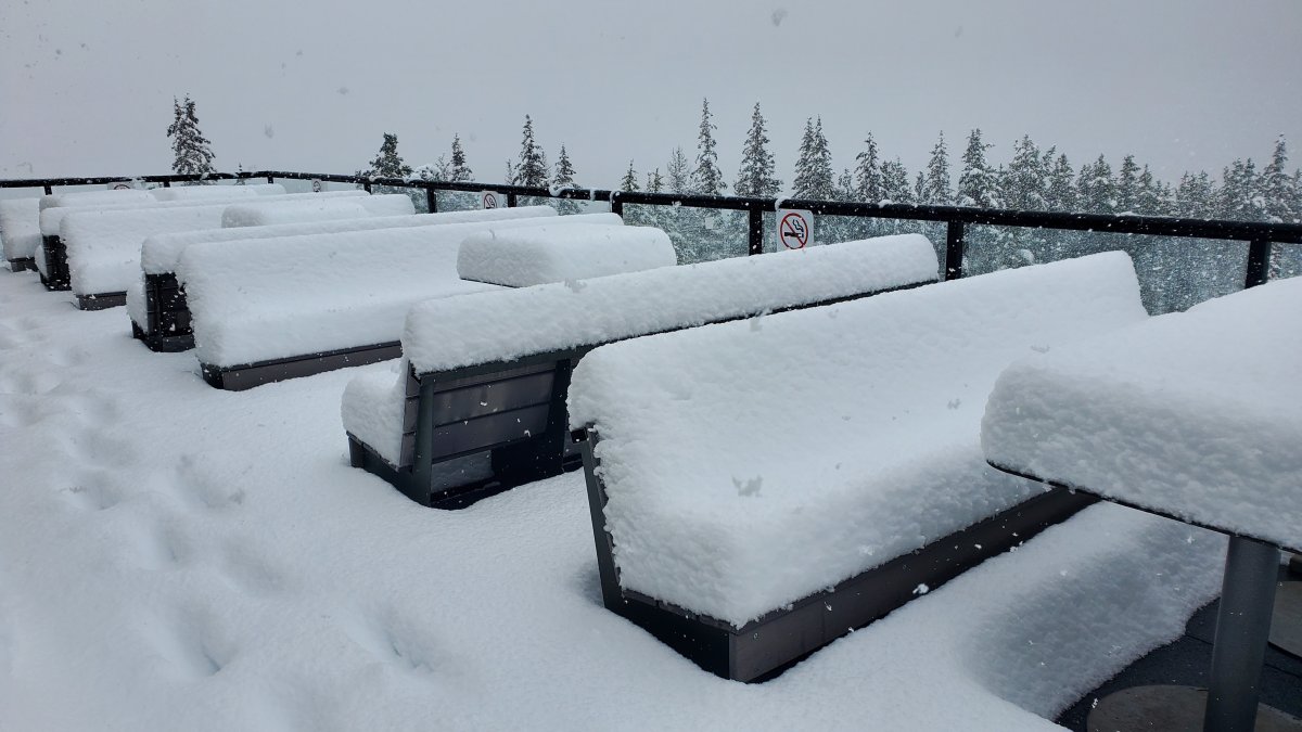 Snow what? Wild June weather wallops western Alberta, tourists rescued