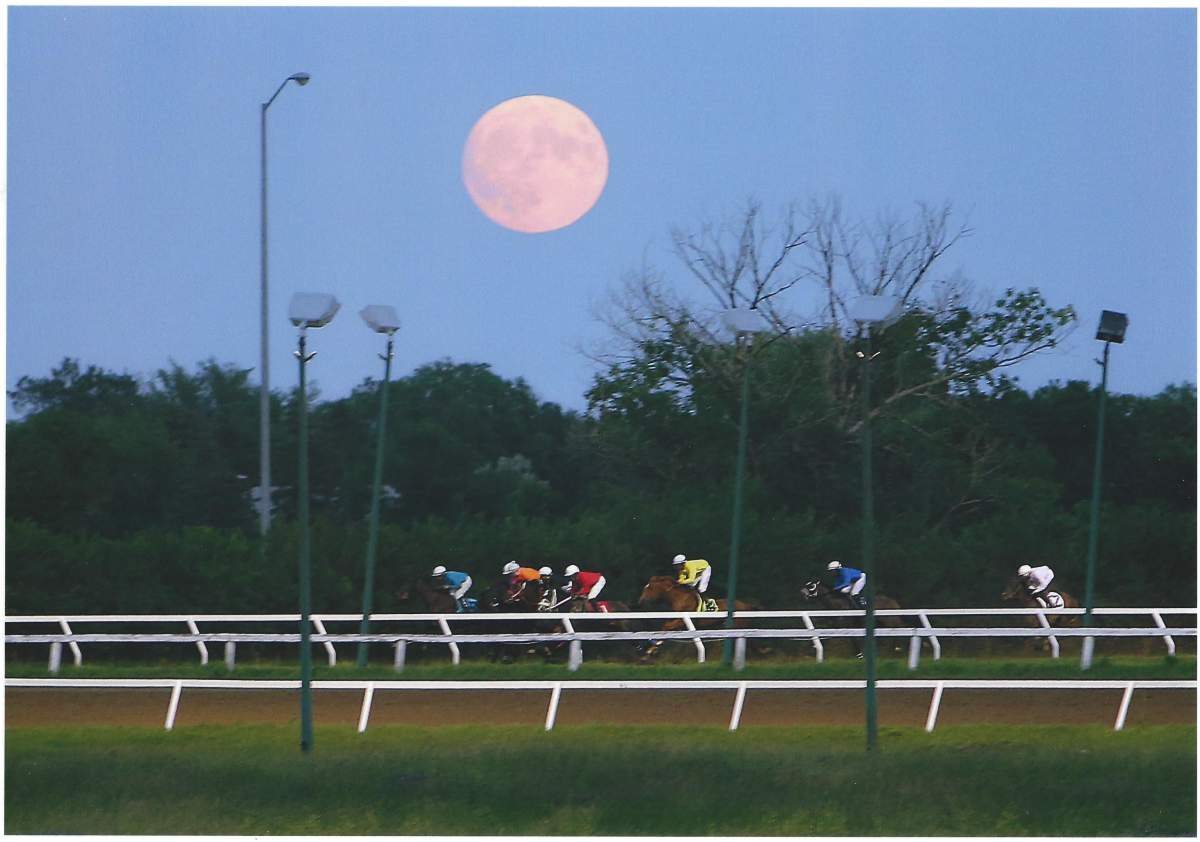 Racing under a full moon, 2022.