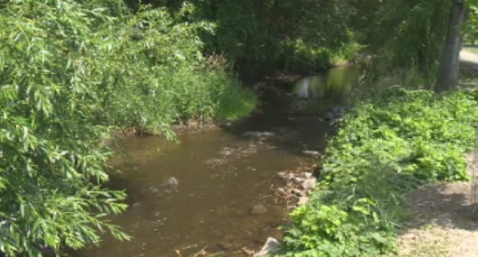 Bessette Creek in Lumby, B.C.