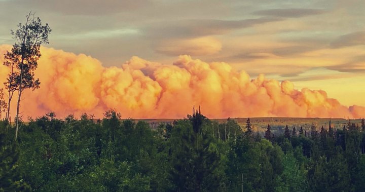 Wildfire just 4 or 5km from Tumbler Ridge, B.C. could reach town by end of day