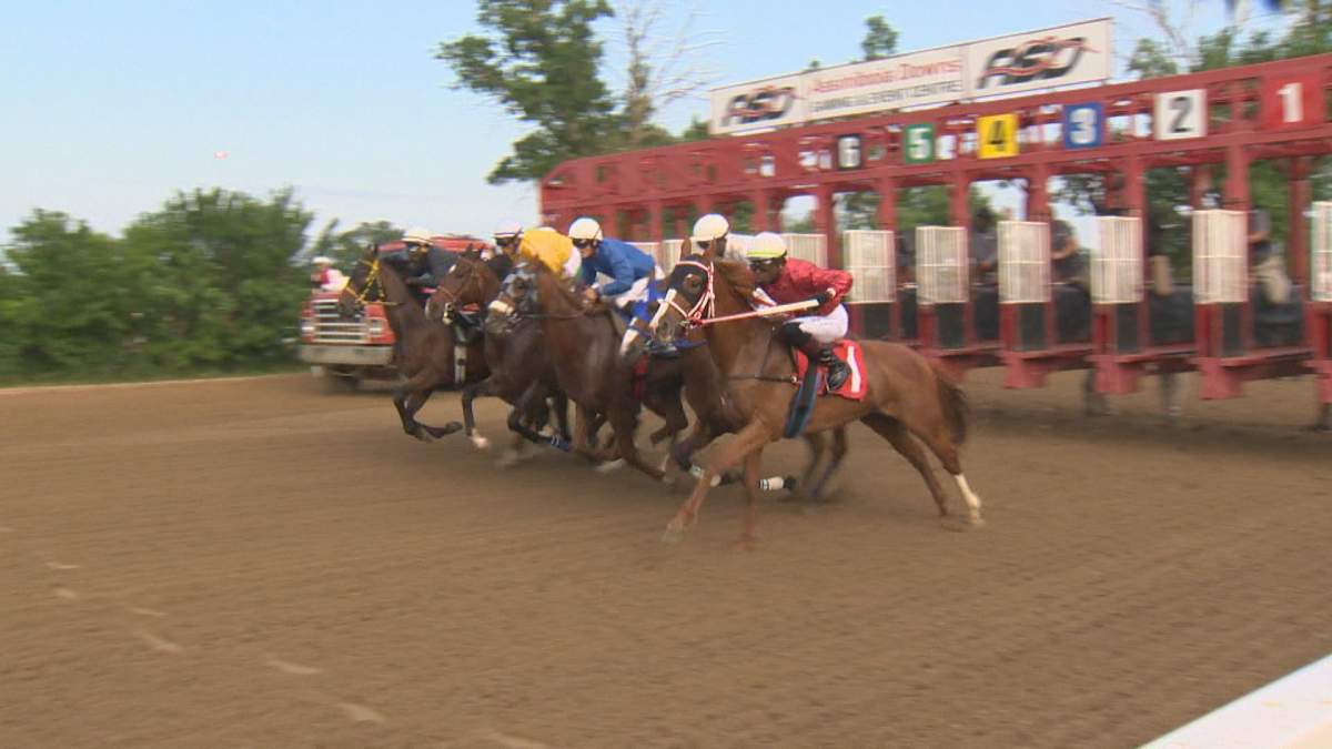 Jockeys ride out of the starting gates during an Assiniboia Downs race in June 2023.