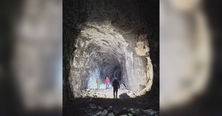 Adra Tunnel along Kettle Valley Rail Trail close to reopening: RDOS  | Globalnews.ca