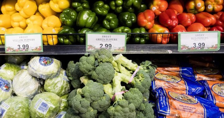 Is the grocery sector contributing to rising food costs? Watchdog to release study