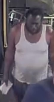 Police say a man put another passenger in a choke hold on a Toronto bus.