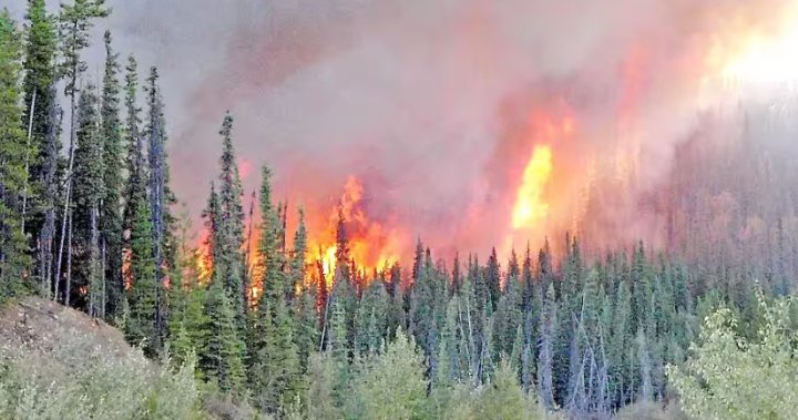 Forest fire forces evacuation of hundreds of homes in northern Quebec