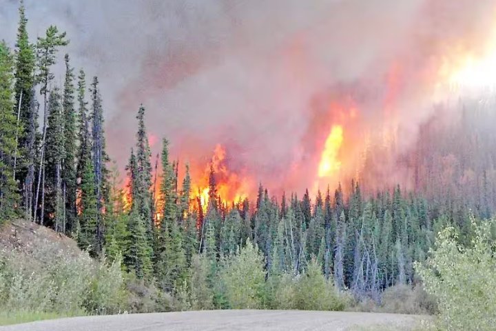 Environmentalists say climate change is making Quebec wildfires worse