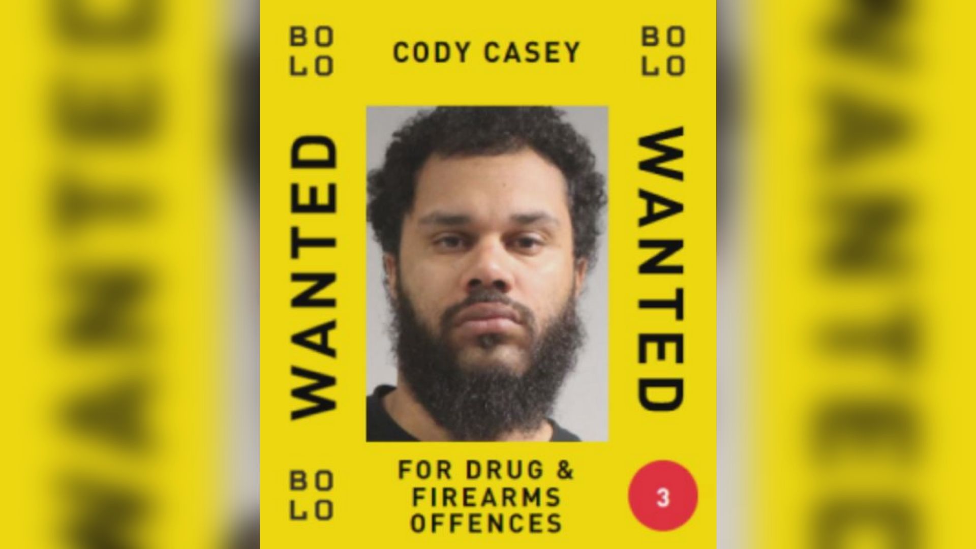 A B C Беглецът е върнат в Канада след международно разследване