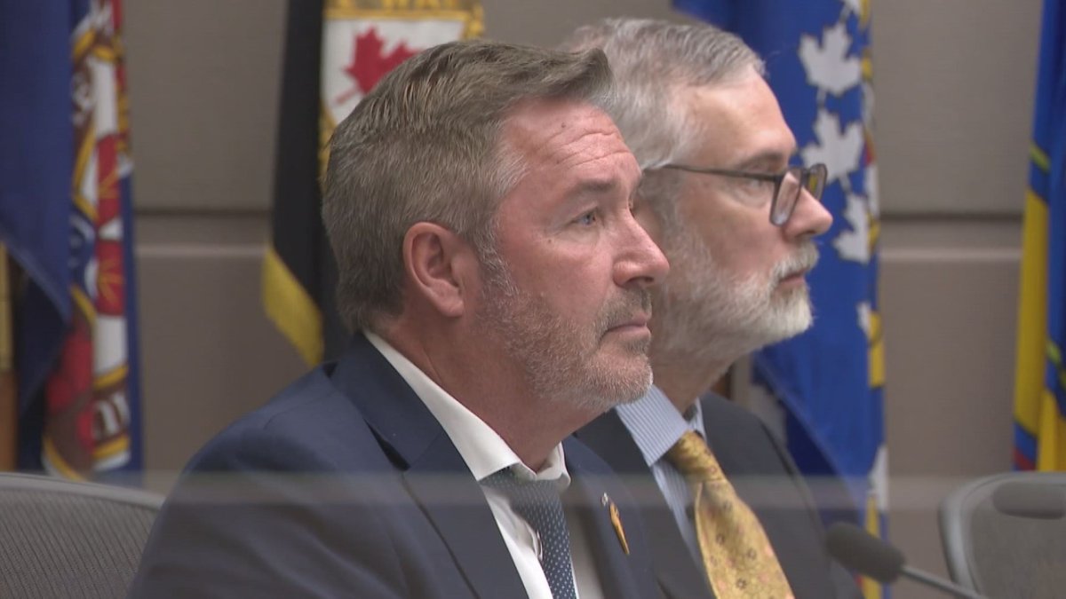 Ward 13 Coun. Dan McLean is accusing a third-party advertiser of "whipping votes" in favour of the proposed RC-G rezoning bylaw.