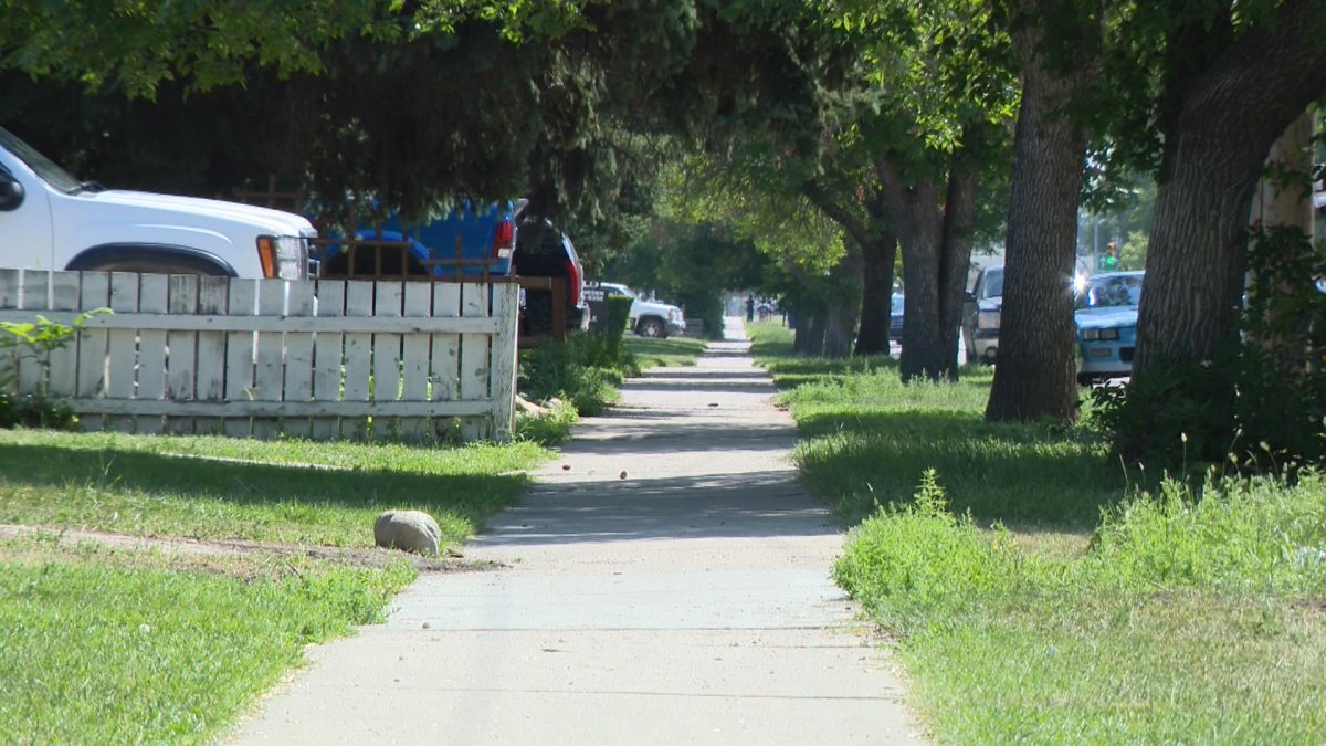 A dog on the loose in Saskatoon attacked two kids Wednesday in the 2700 block of 33rd Street West.