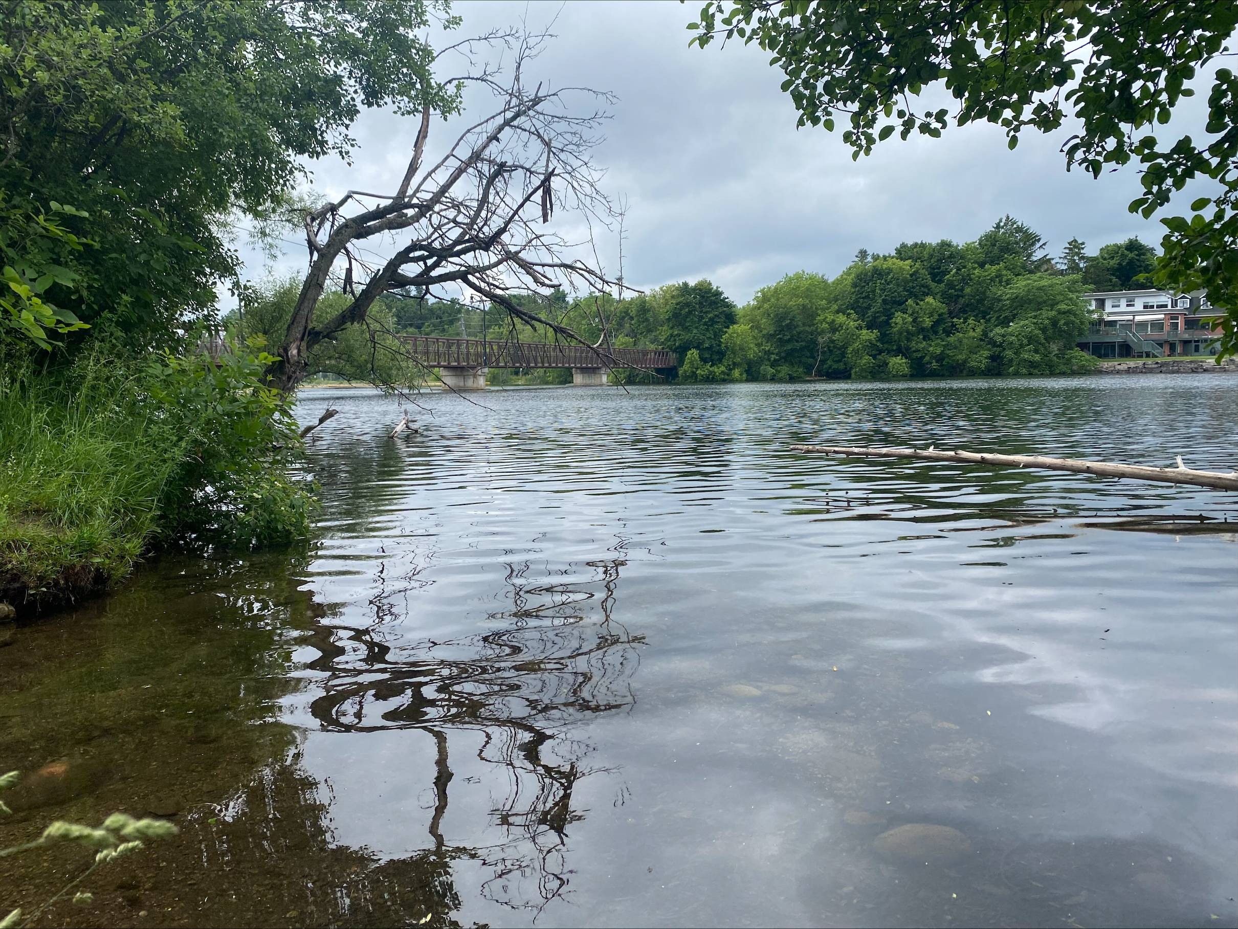 Fleming College international student drowns in Otonabee River in Peterborough, Ont. - Vimarsana News