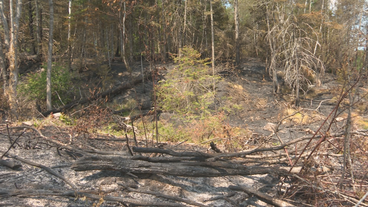 Fire damage in Bocabec, just outside Saint Andrews.