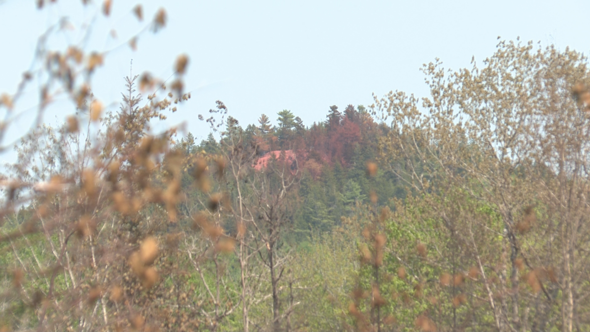 Fire retardant, a sticky substance applied to areas like tree tops and grass , to help prevent burning is visible in the skyline.