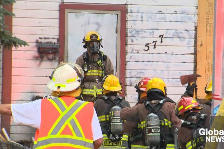 Four animals die in Winnipeg house fire