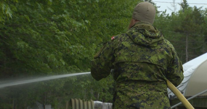 New Brunswick Armed Forces train to fight fires for Nova Scotia