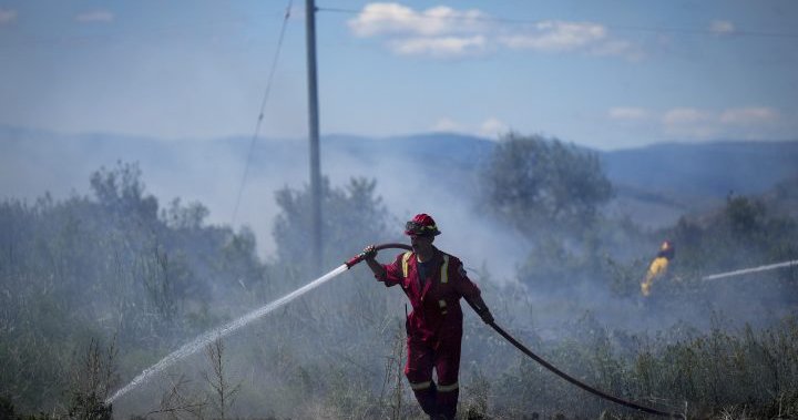 Foreign firefighters battling blazes, fatigue and mosquitoes in Canada – National | Globalnews.ca