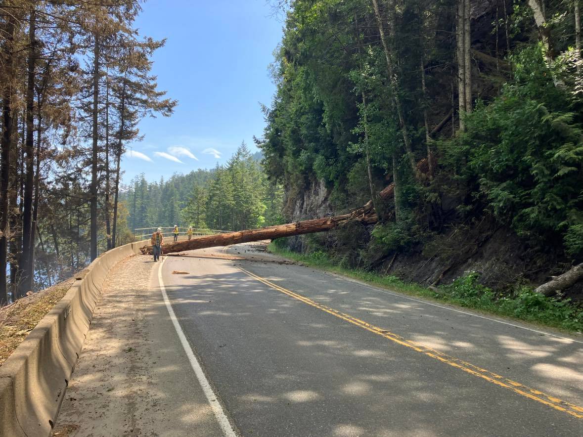 Highway 4 on Vancouver Island remains closed as Cameron Bluffs wildfire burns - Vimarsana News