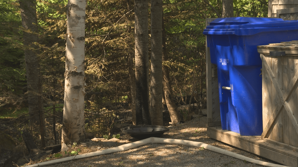 Judy Johnson’s house is encapsulated by black, charred earth, a sign of the forest fire being battled just metres away from her.