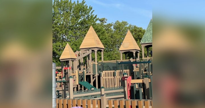 Inclusive Riverview, N.B. playground vandalized with swastikas