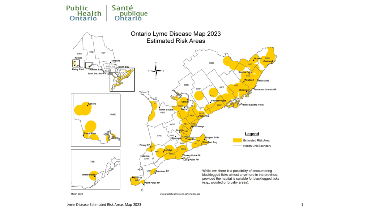 Tests from a pair of bats confirm Hamilton’s first two rabies cases for 2023 - image