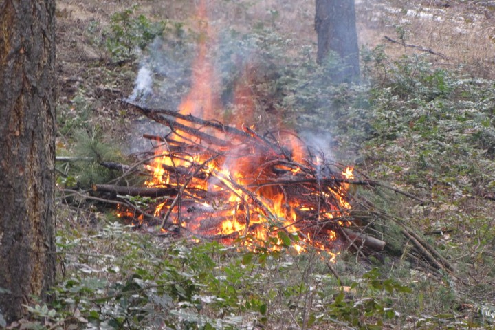 Campfires OK for long weekend, but Category 2 fires banned in Okanagan
