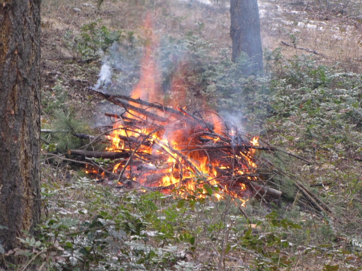 Kingston, Ont. region municipalities downgrade burn bans - image
