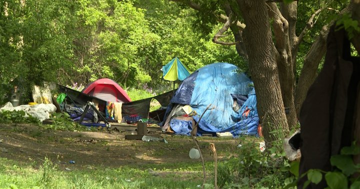Kingston seeks court order to remove park encampment – Kingston | Globalnews.ca