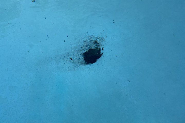 Meteorite? Mud? Mysterious rock crash lands in B.C. man’s pool