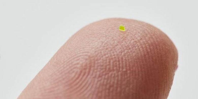 Tiny purse, barely visible to the naked eye, fetches $67K at auction