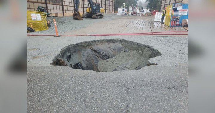 ‘My kids are my main concern’: Fifth sinkhole appears on Langley councillor’s property
