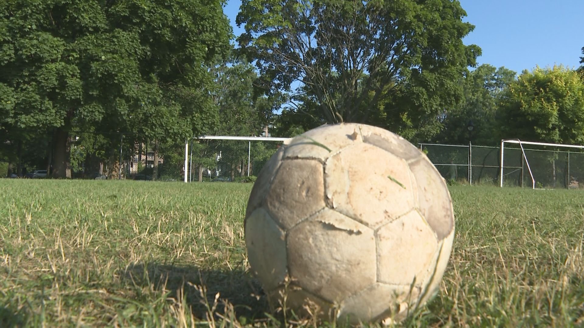 Why a neighbourhood in Montreal is divided over plans for a new soccer field - Montreal - Vimarsana News