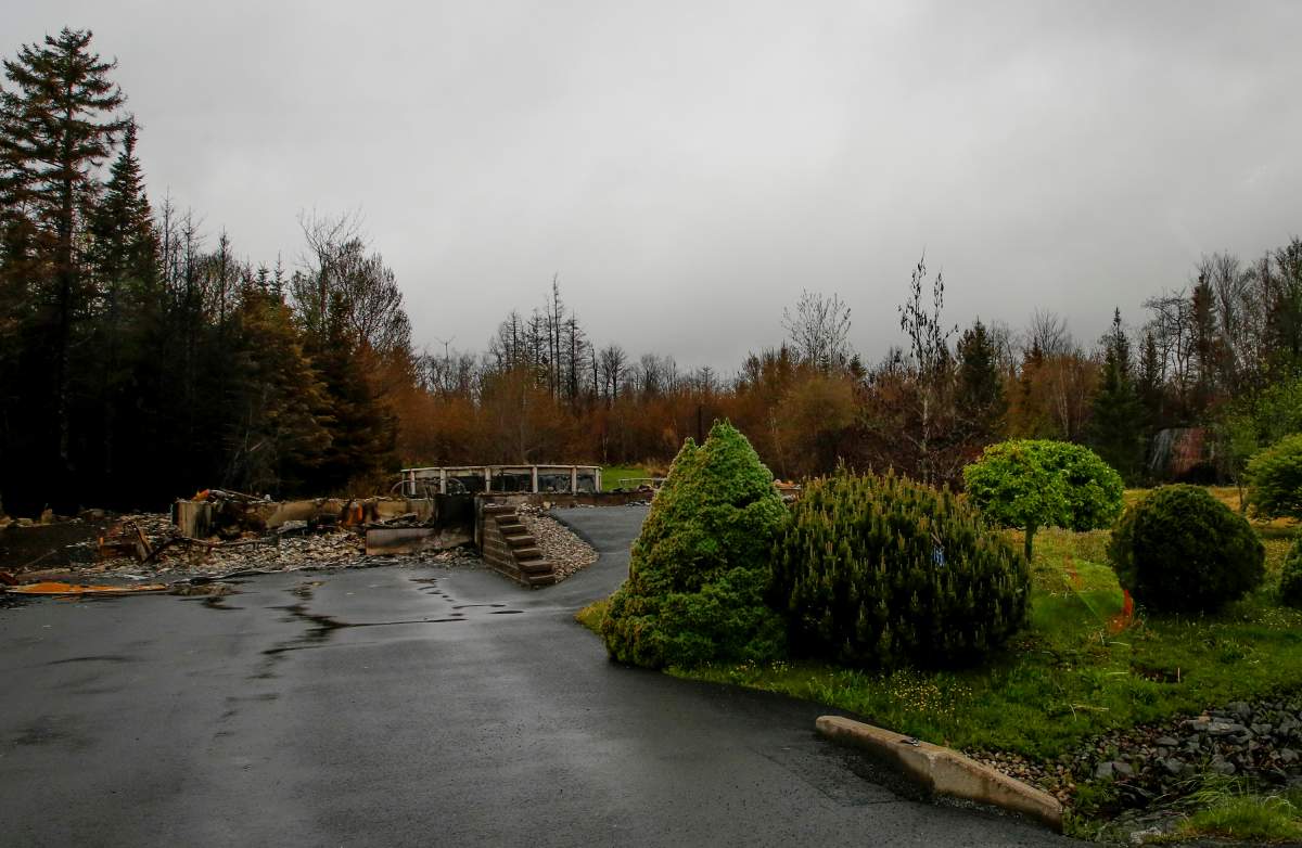 The untouched plants in front of a destroyed home are seen following last week’s wildfire on Carmel Crescent in Hammonds Plains, NS Tuesday June 6, 2023.