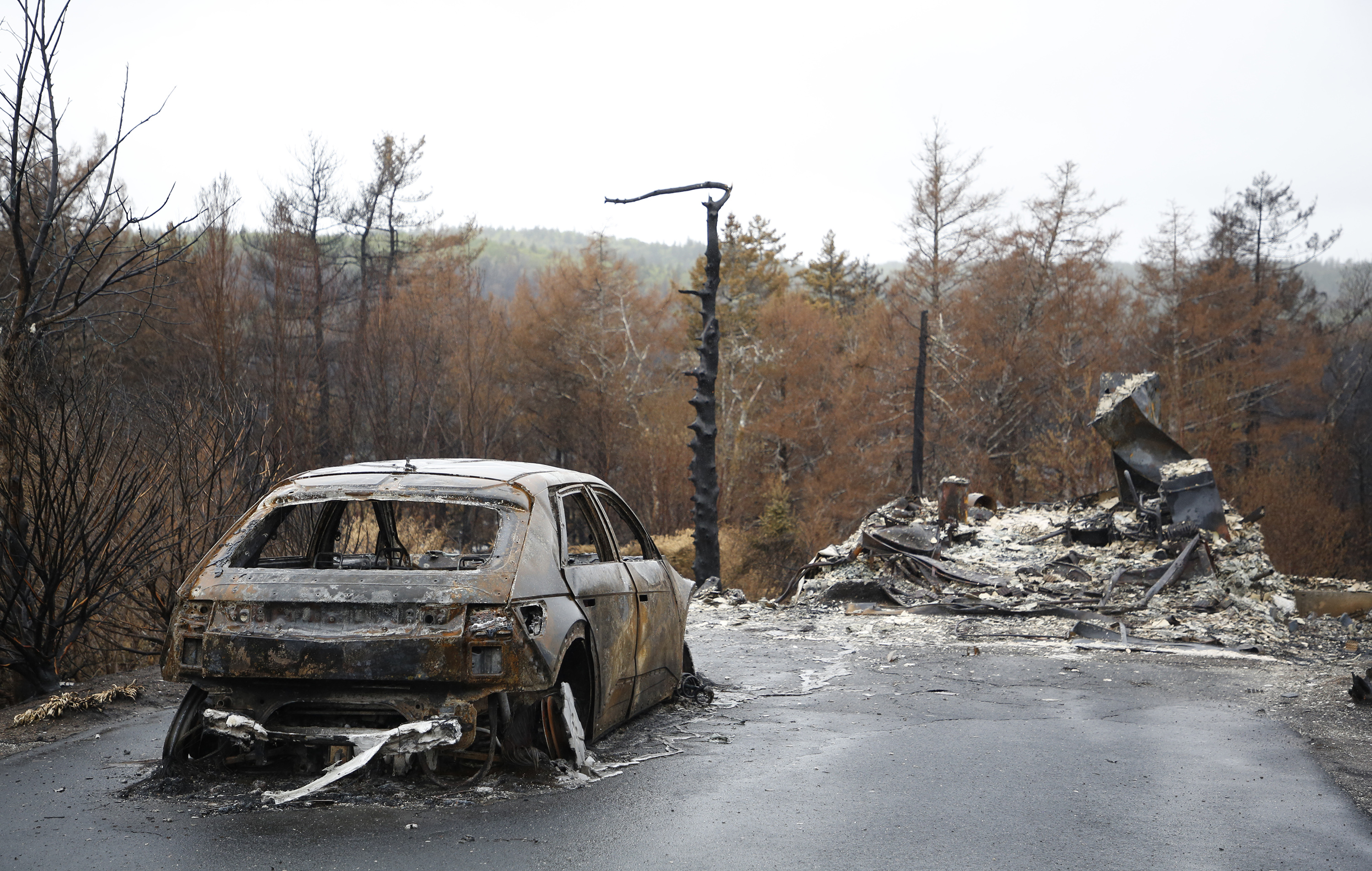 tch tk060623wildfire12. 1