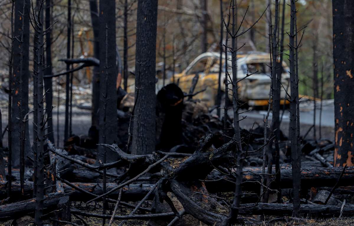 Burnt trees are backdropped by a destroyed car that was parked in front of a destroyed home on Bonsai Drive following last week’s wildfire in Hammonds Plains, N.S. Tuesday June 6, 2023.