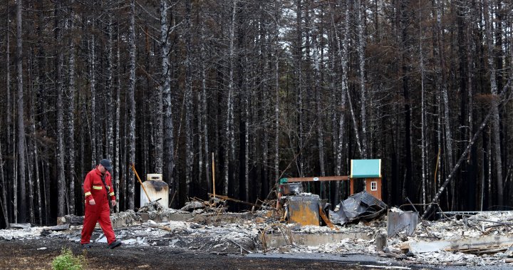 加拿大皇家骑警结束对哈利法克斯地区山火的调查，未提起刑事指控