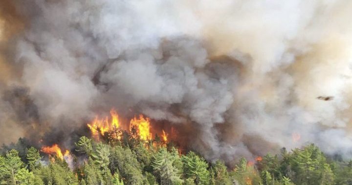 Canada battling its ‘worst wildfire season of the 21st century’: minister