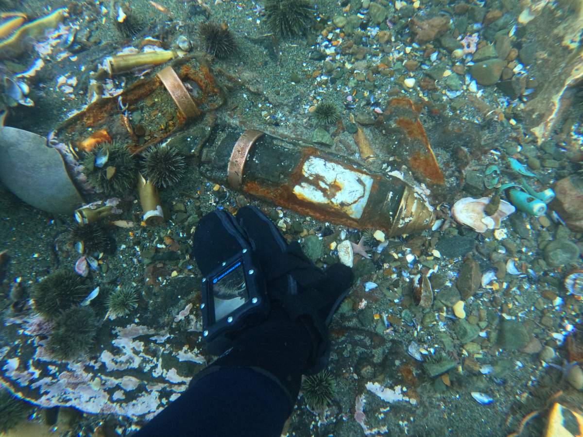 A diving expedition to the shipwrecks of USS Pollux and USS Truxtun has found over a dozen bombs.