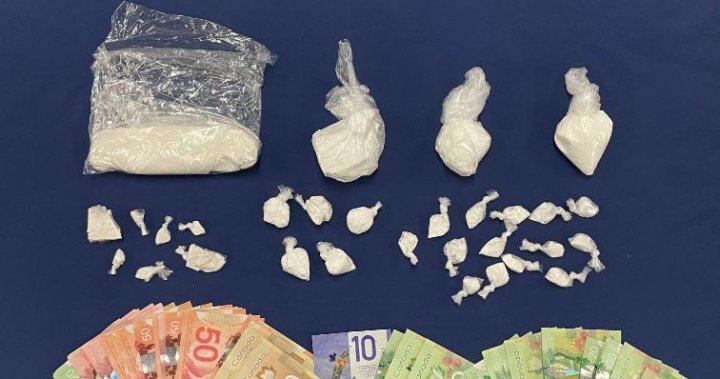 Suspect rams into police cars and officer after Saskatoon cocaine trafficking bust: police – Saskatoon | Globalnews.ca