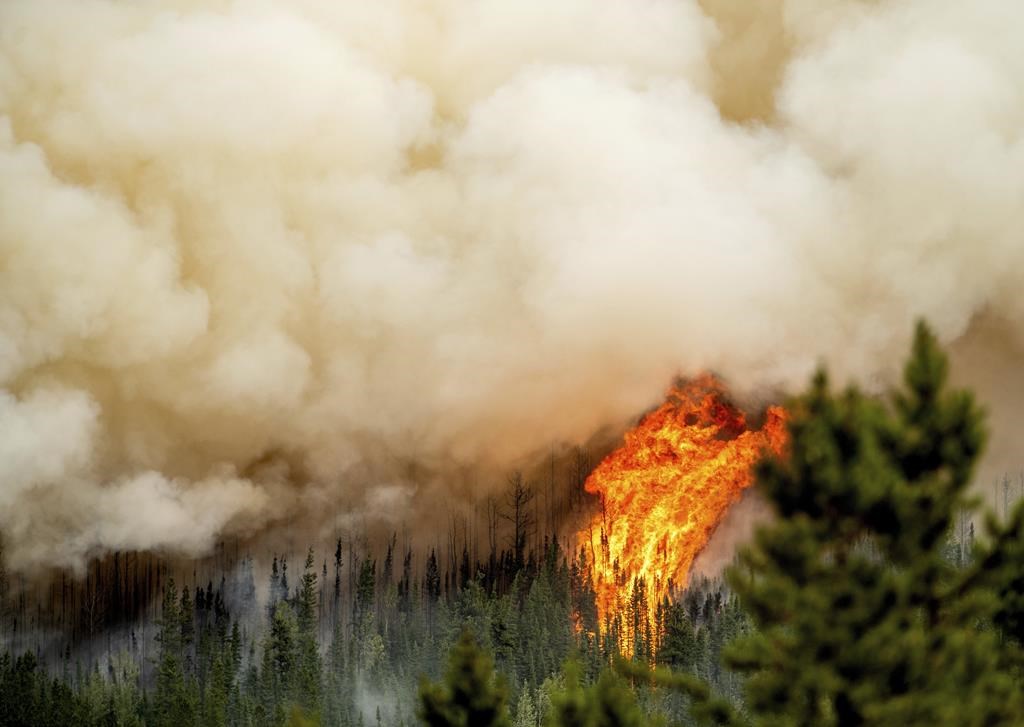 Flames from the Donnie Creek wildfire burn along a ridge top north of Fort St. John, British Columbia on Sunday, July 2, 2023.