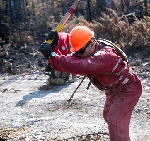 Growing B.C. wildfire closes Highway 20 following evacuation alert