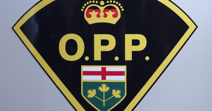 1 dead following single-vehicle collision in Elizabethtown-Kitley, Ont. – Kingston | Globalnews.ca