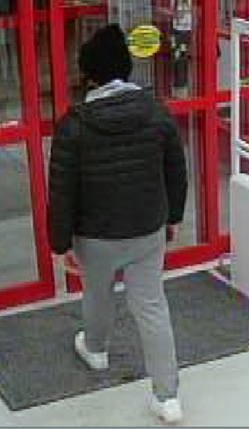 Unclear why suspicious packages repeatedly shipped to Toronto store: police - image