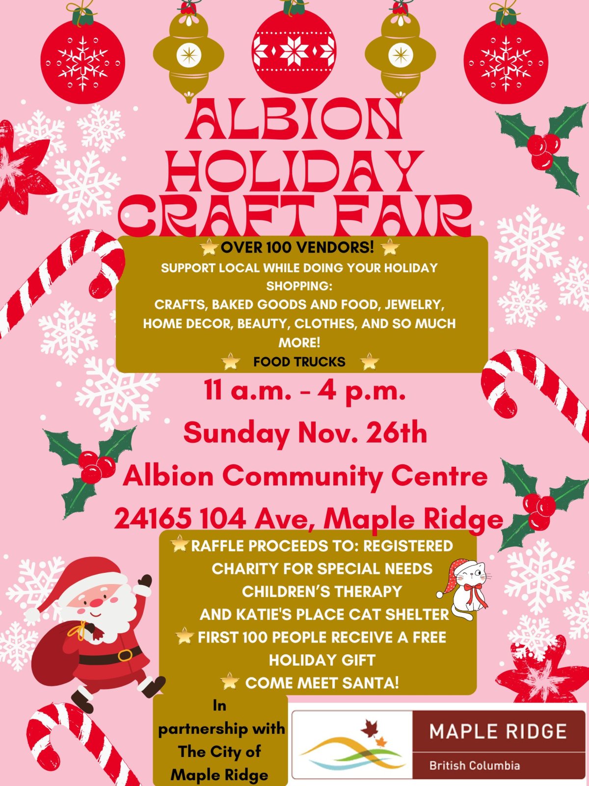 Albion Holiday Craft Fair GlobalNews Events