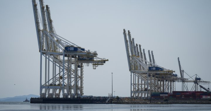 B.C. truckers say major disruptions in deliveries as containers stuck inside Deltaport