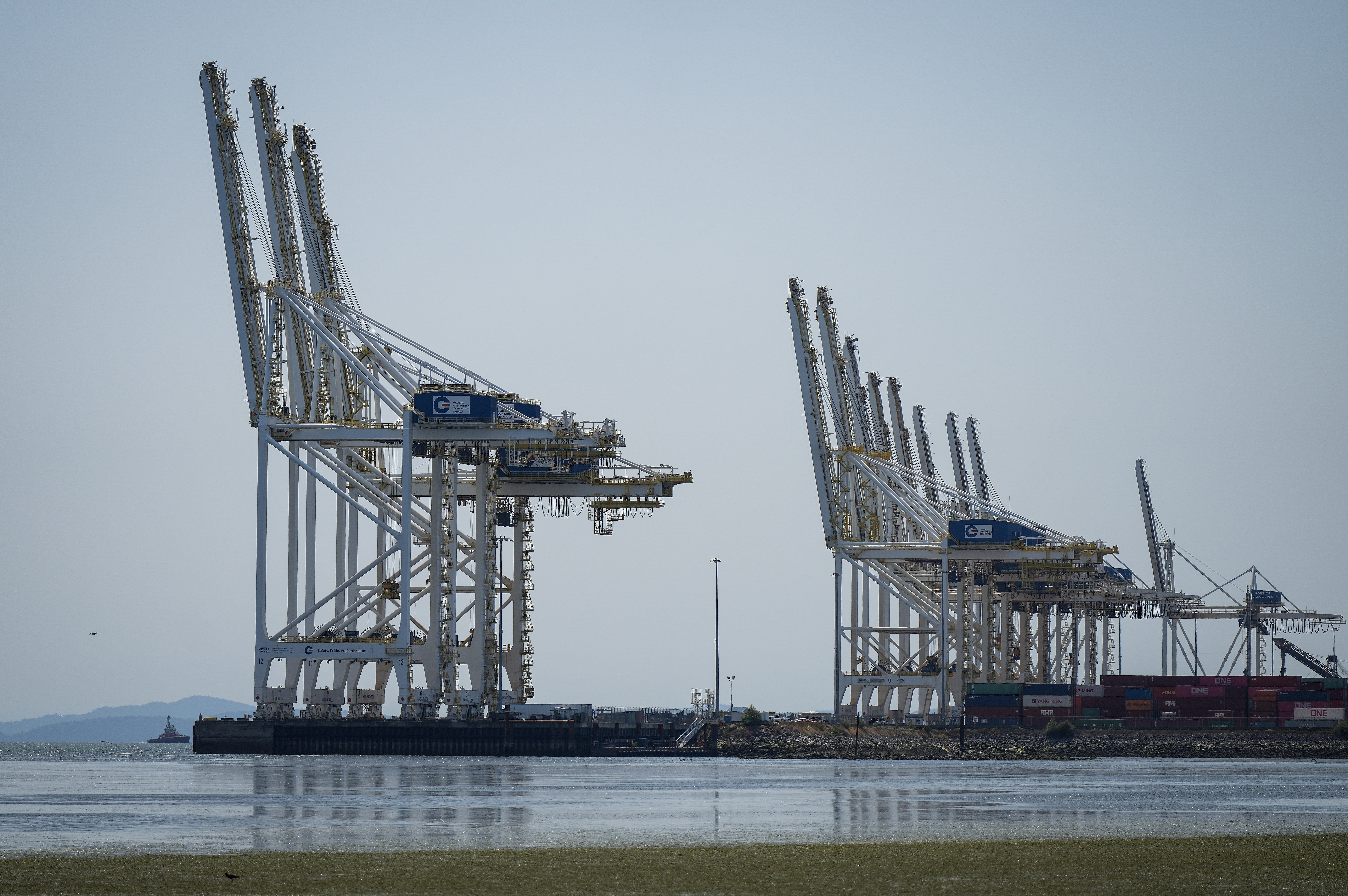 'Profoundly damaging impact across the country': B.C. premier on ongoing port strike - Vimarsana News