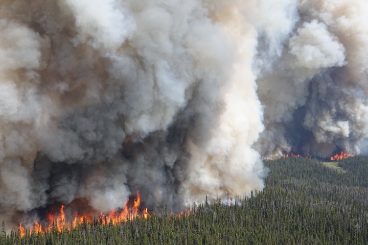 B.C. wildfires on rise as drought conditions persist; federal help en route