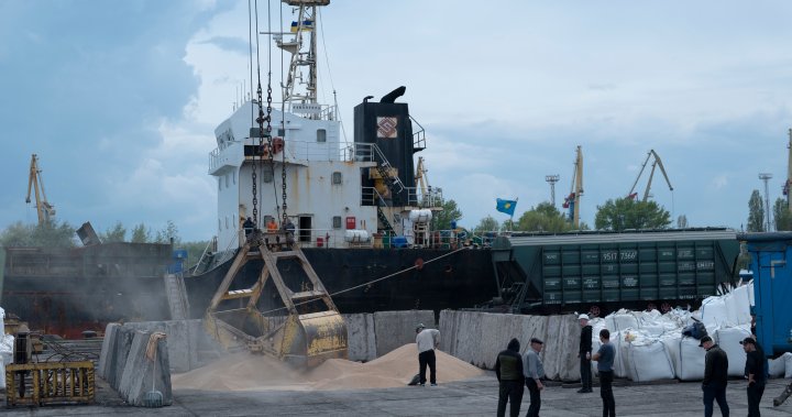Fears of a global food crisis loom as Black Sea grain deal nears deadline