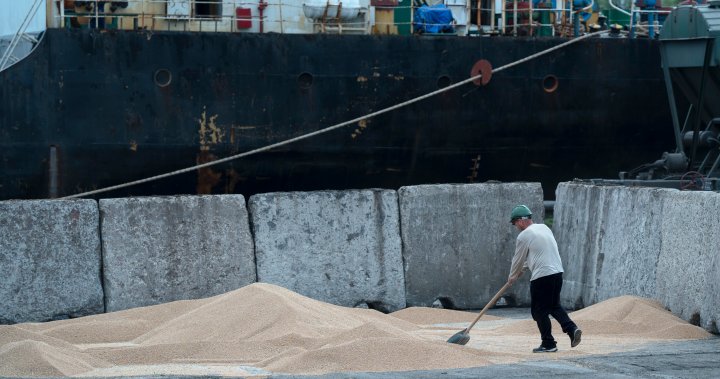 Black Sea grain deal extension vital to avoid ‘further shocks,’ Canada says – National | Globalnews.ca