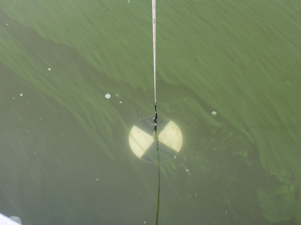 Blue-green algae health warnings issued for 3 lakes in Nicola region – Okanagan | 24CA News