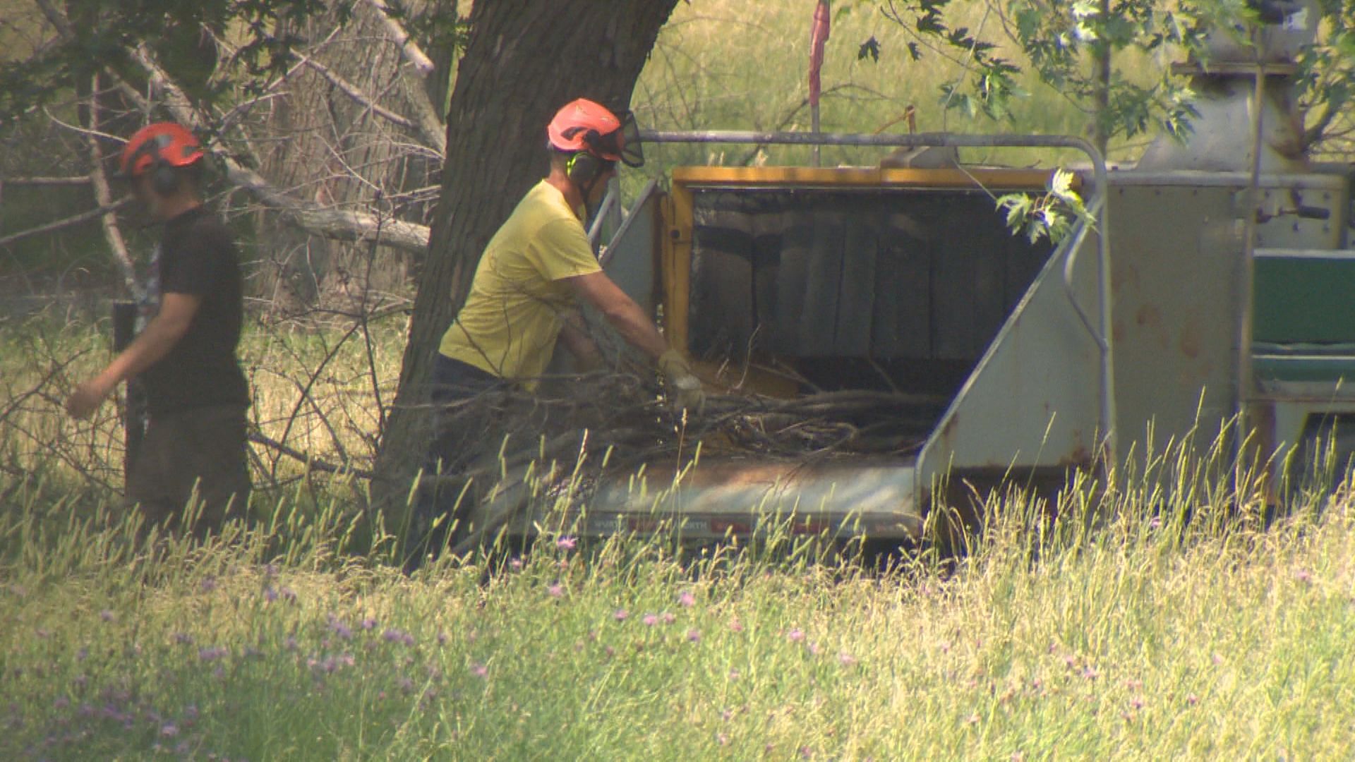 Grieving families relieved to see workers at Canada’s largest cemetery back on site – Montreal | 24CA News